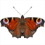 easytransactionswithforexgen.blogspot.com