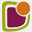 dsaq.org.au