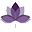 kailuakonaliving.com