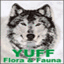 yuff.co.rs