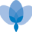 istram.net
