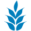 infomili.com