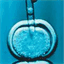 tpe-gp3.over-blog.fr