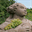 madonnenberg.de