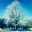 blog.sahina.net