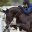 elranchoadobe.com