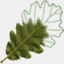 anarchive.it