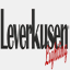 leverkusenlighting.com