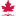 mapleshortrun.com