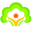 xly51.com