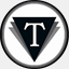 thayer-consulting.com