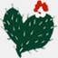 cactuspearcinci.com