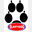 elastidog.com