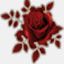 rosemaze.com
