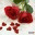 anshikajaggi.wordpress.com
