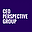 ceoperspective.com