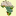 southernafricanplants.org