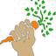 yardfarmers.us