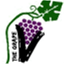 thegrapev.com