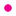trufflepig.com