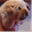upxin.net