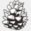 pineconedoesthings.com