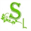 sangolangue.org
