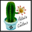 petalodecactus.com