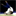 judoclubchandieu.wordpress.com