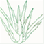 ashiyu.com