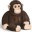 monkeybill.wordpress.com