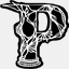 paradoxius.com