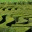 labyrinthforlife.wordpress.com