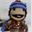 draiser.net