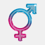 gendertransitions.co.uk