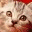 ayorazal.wordpress.com