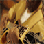michaelwalkermusic.com