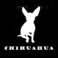 elchihuahua.com