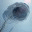anneclaireplantey.wordpress.com