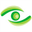 wyfanyi.com