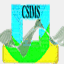 csimsystems.com