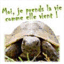 seve.over-blog.fr
