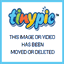 virydys.com