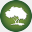 theforestcc.com