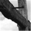 disciplesperspective.wordpress.com
