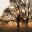 darshnamp.wordpress.com