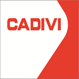 cadivi-vn.com