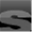 stuartwheat.com