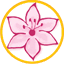 annacandoit.com