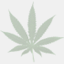 mediweed.com